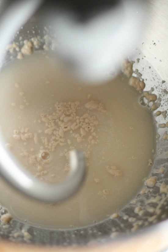 yeast rising in bowl