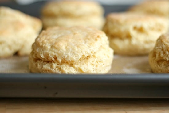 Biscuits for Southern Biscuits and Gravy