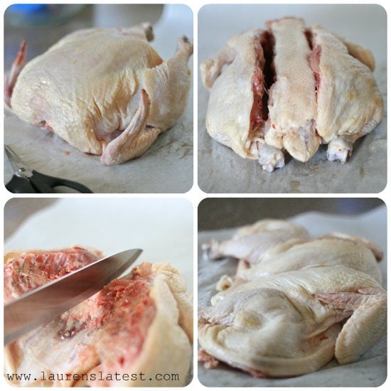 Cutting raw chicken