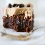 Fudgy Brownies with Cookie Butter Frosting