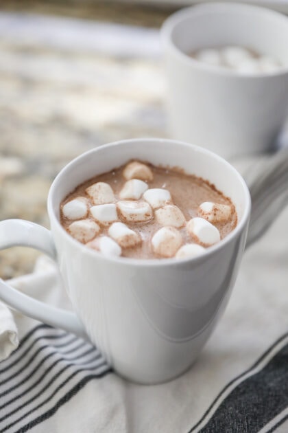 Mexican Hot Chocolate Recipe - Lauren's Latest