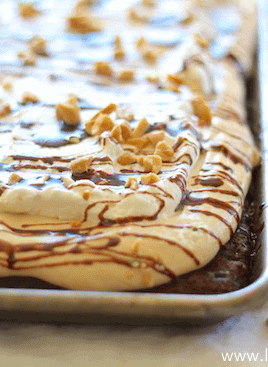 peanut butter pie sheet cake