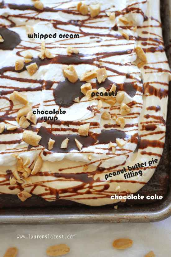 chocolate peanut butter sheet cake with text over the image detailing the toppings (whipped cream, peanuts, chocolate syrup, peanut butter pie filling and chocolate cake).