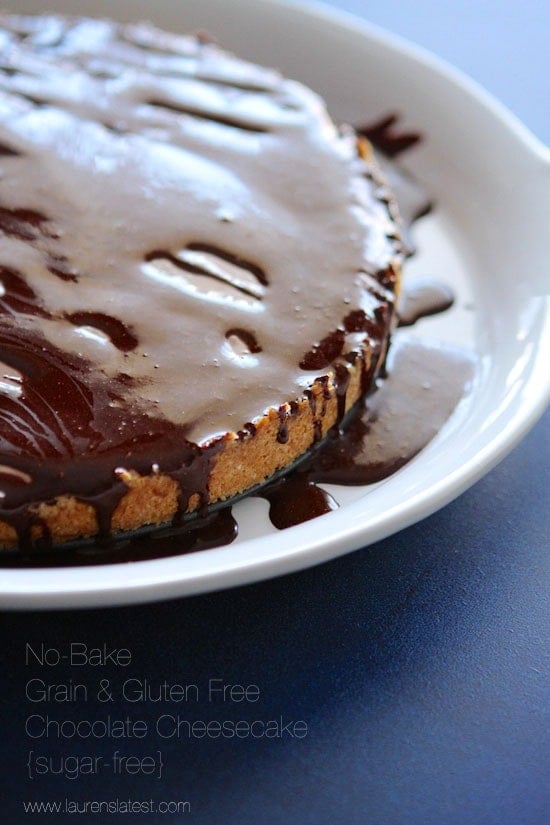 sugar free no bake cheesecake with chocolate sauce on top, all on a white plate
