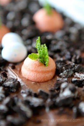 close up shot of frosting planted carrot on easter dirt cake