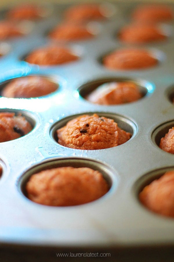 Mini Pumpkin Chocolate Chip Muffins in muffin tin