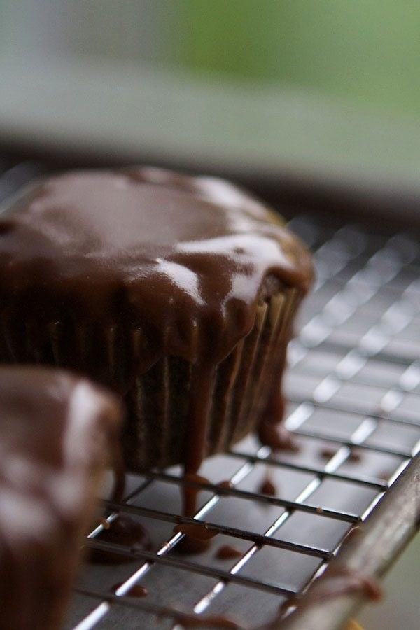Chocolate Zucchini Cupcakes with Poured Chocolate Frosting