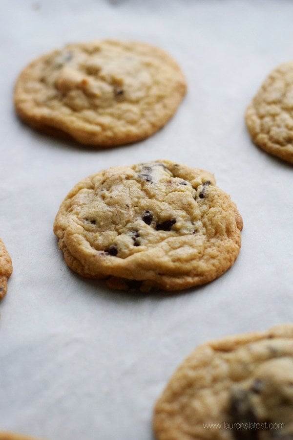 Chocolate Chip Walnut Cookies on a baking sheet