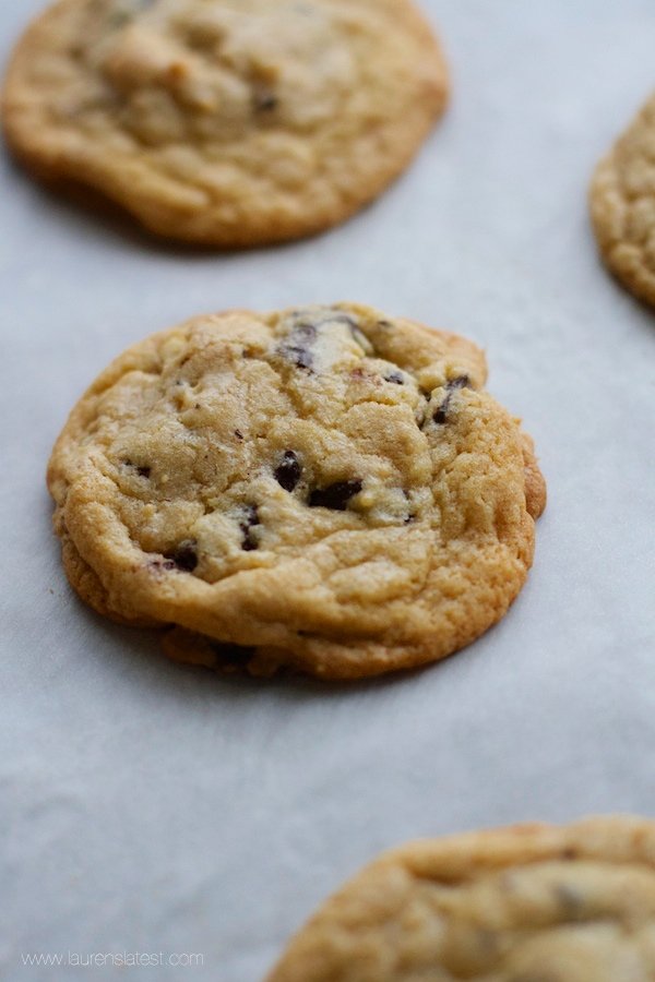 Baked Chocolate Chip Walnut Cookies on a baking sheet