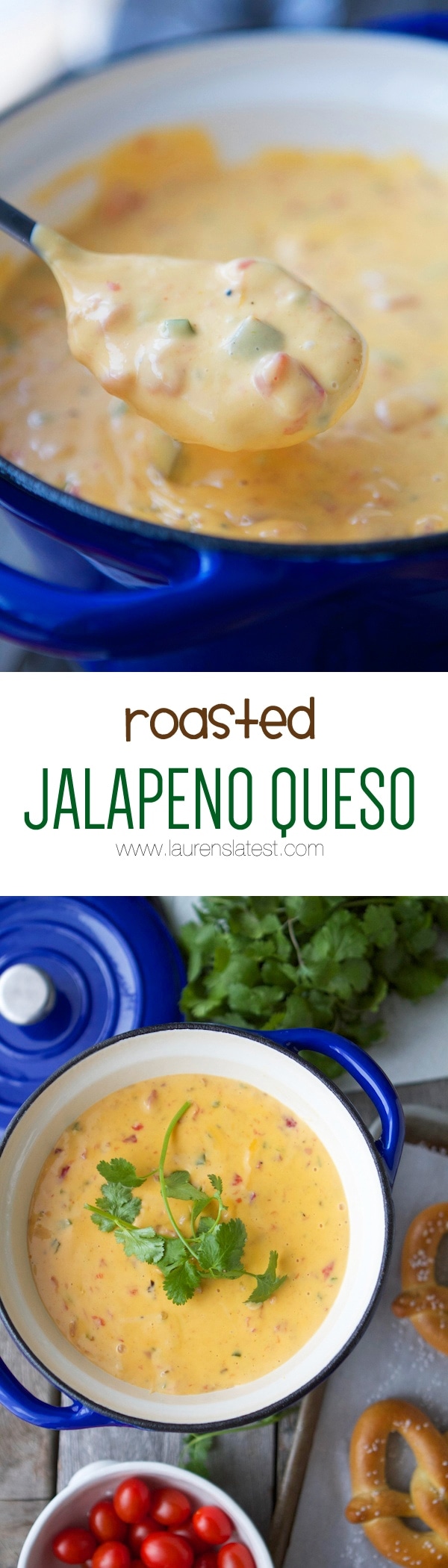 ROASTED JALAPENO QUESO