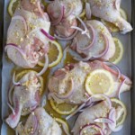 Raw chicken, lemon sliced and red onion
