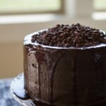 Dark Chocolate Cake on a plate