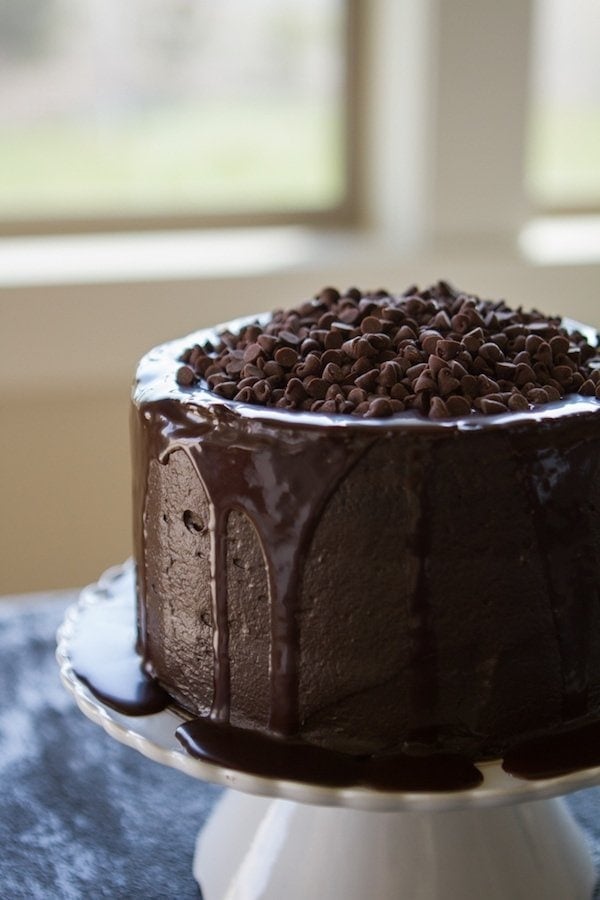 Dark Chocolate Cake on a plate