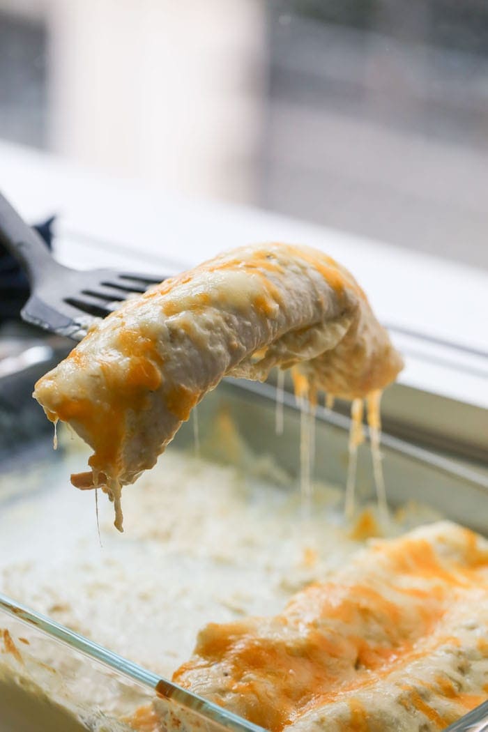 Lifting Chicken Enchiladas out of the baking pan