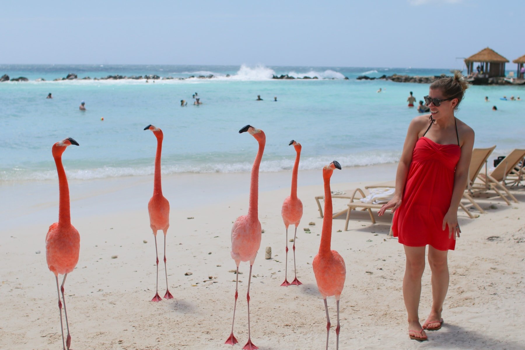 Lauren next to flamingos