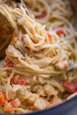 close up of chicken spaghetti