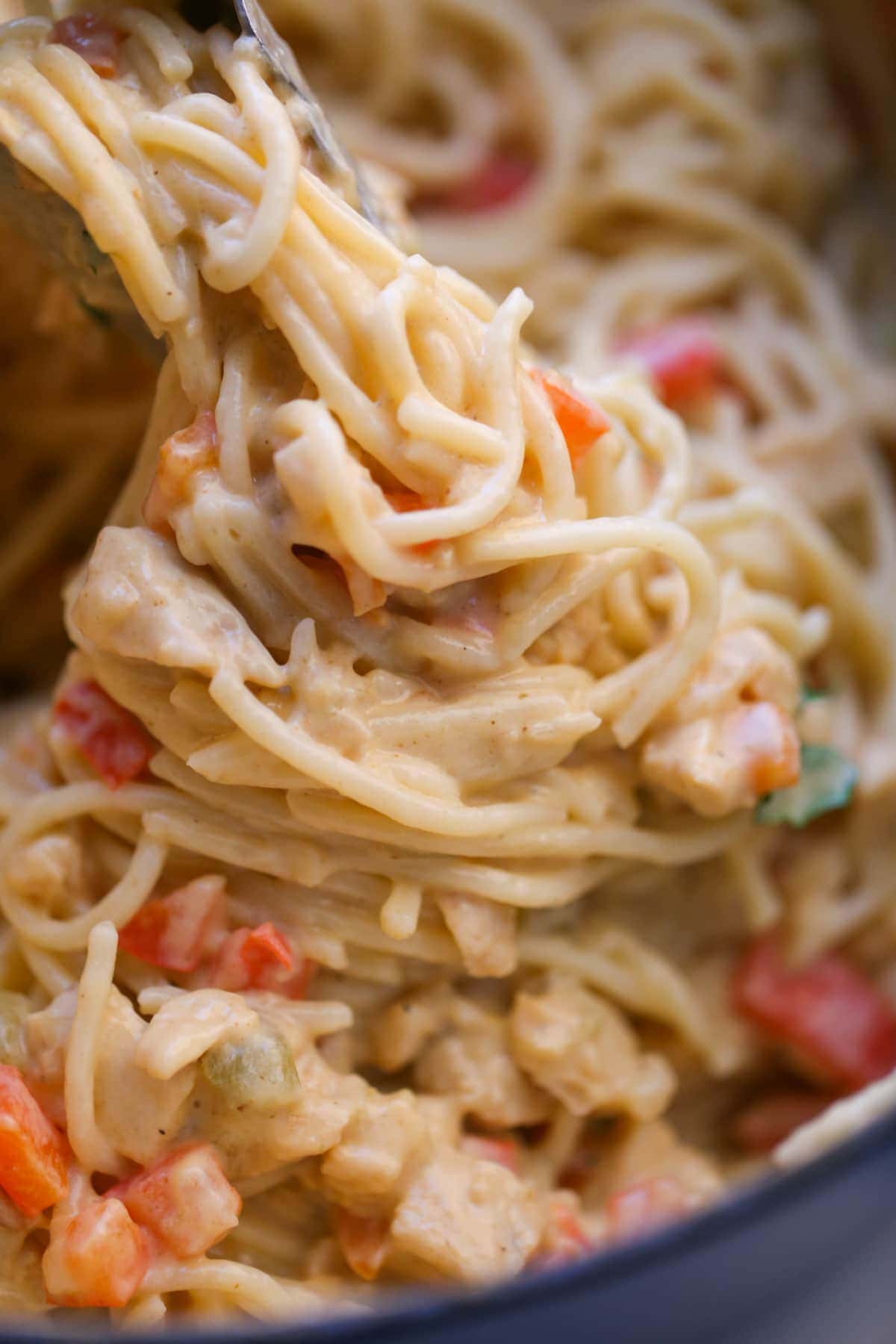 close up of chicken spaghetti