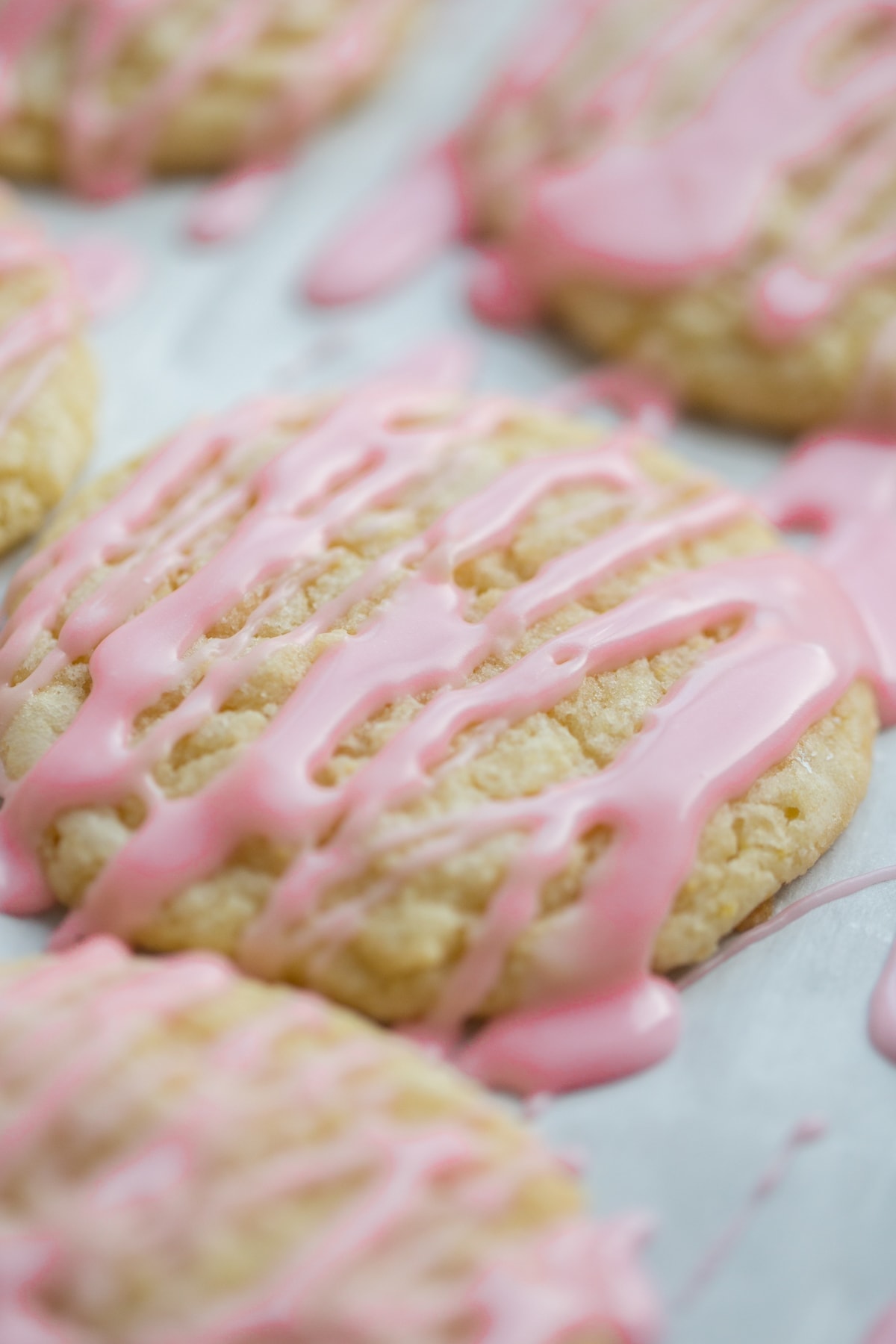 Sugar Cookies on baking sheet