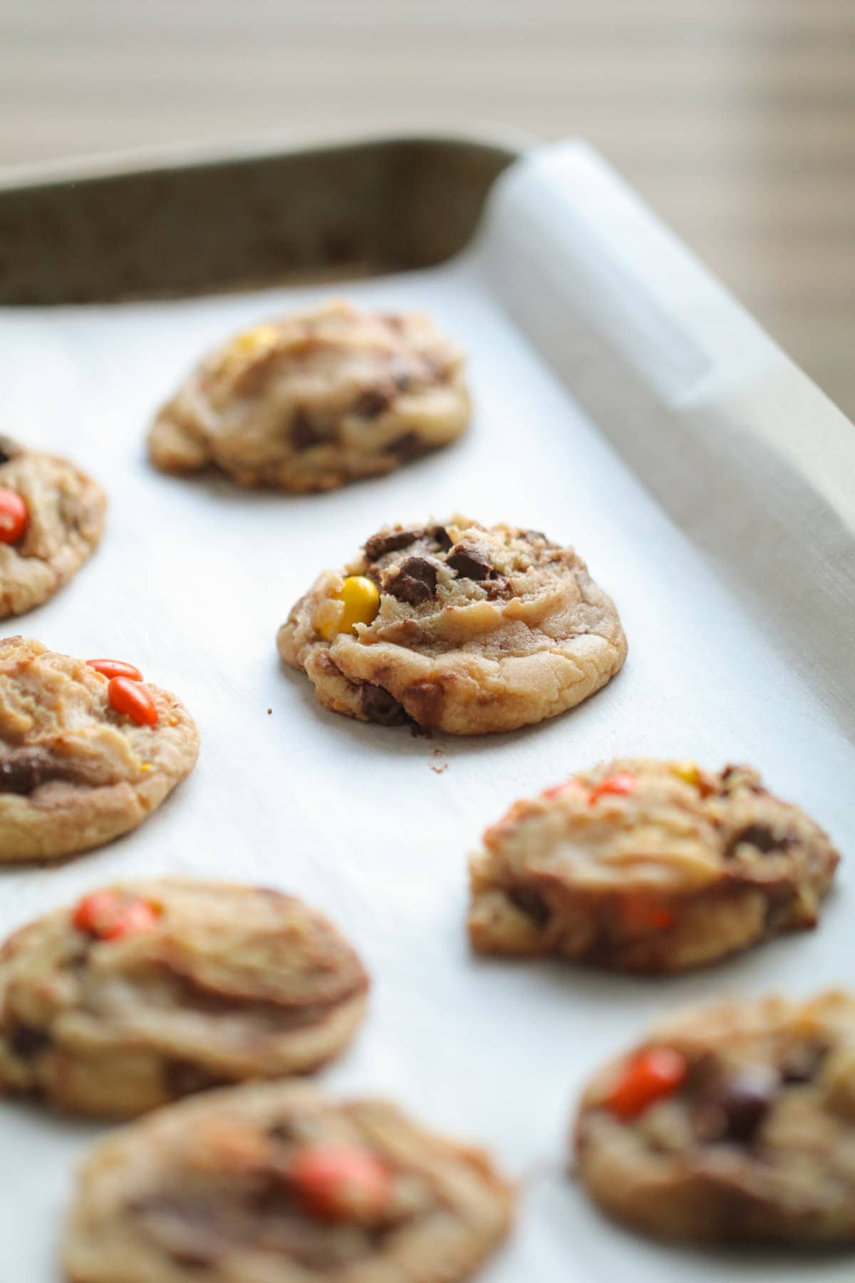 reeses pieces cookies baked on a parchment paper lined baking sheet