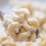 Spoonful of Macaroni and Cheese