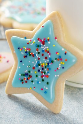 Close up of a sugar cookie with sprinkles
