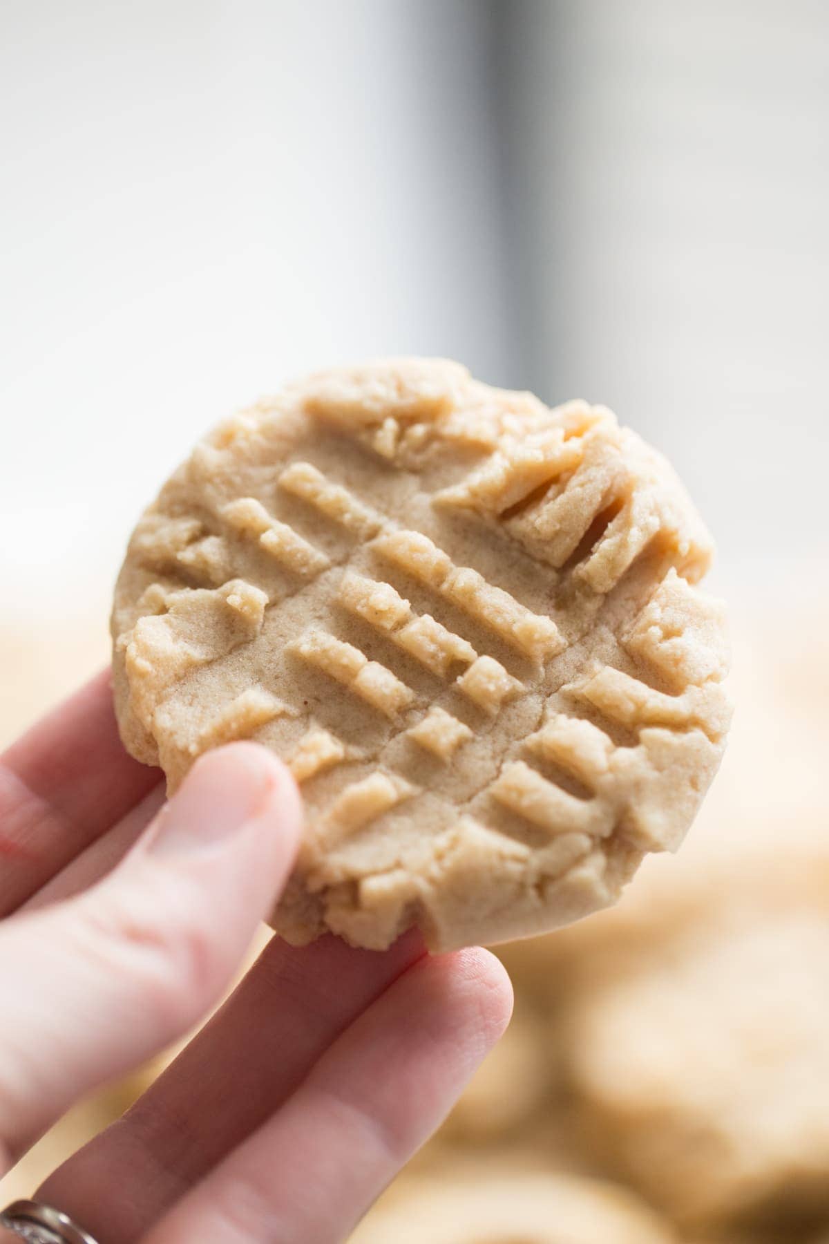 hand holding a peanut butter cookie