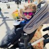 Eddie in the stroller With sunglasses on
