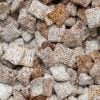 Close-up of puppy chow