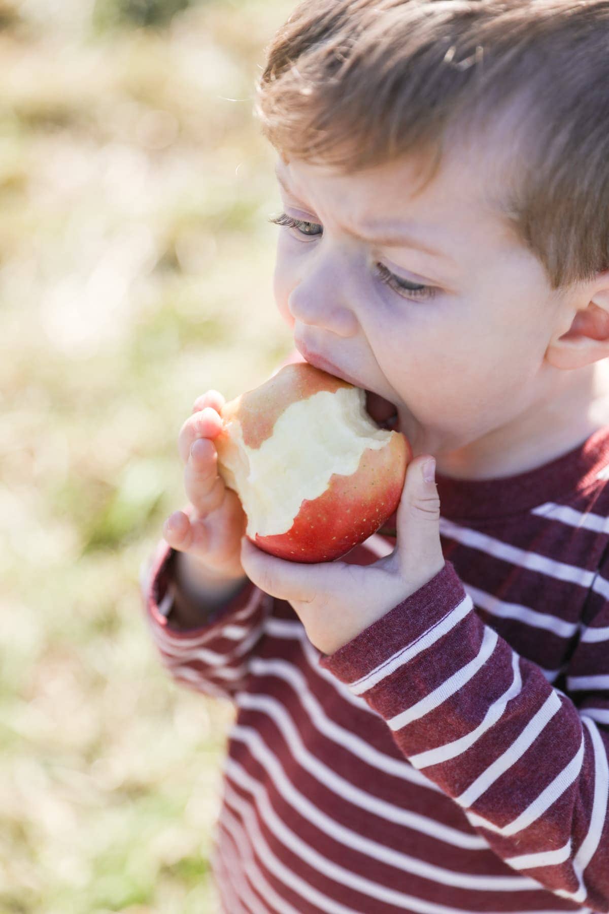 A little boy that is eating an apple