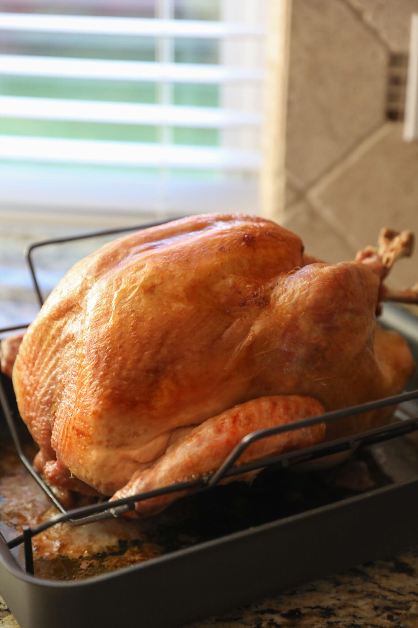 Oven Roasted Turkey for Beginners - Lauren's Latest