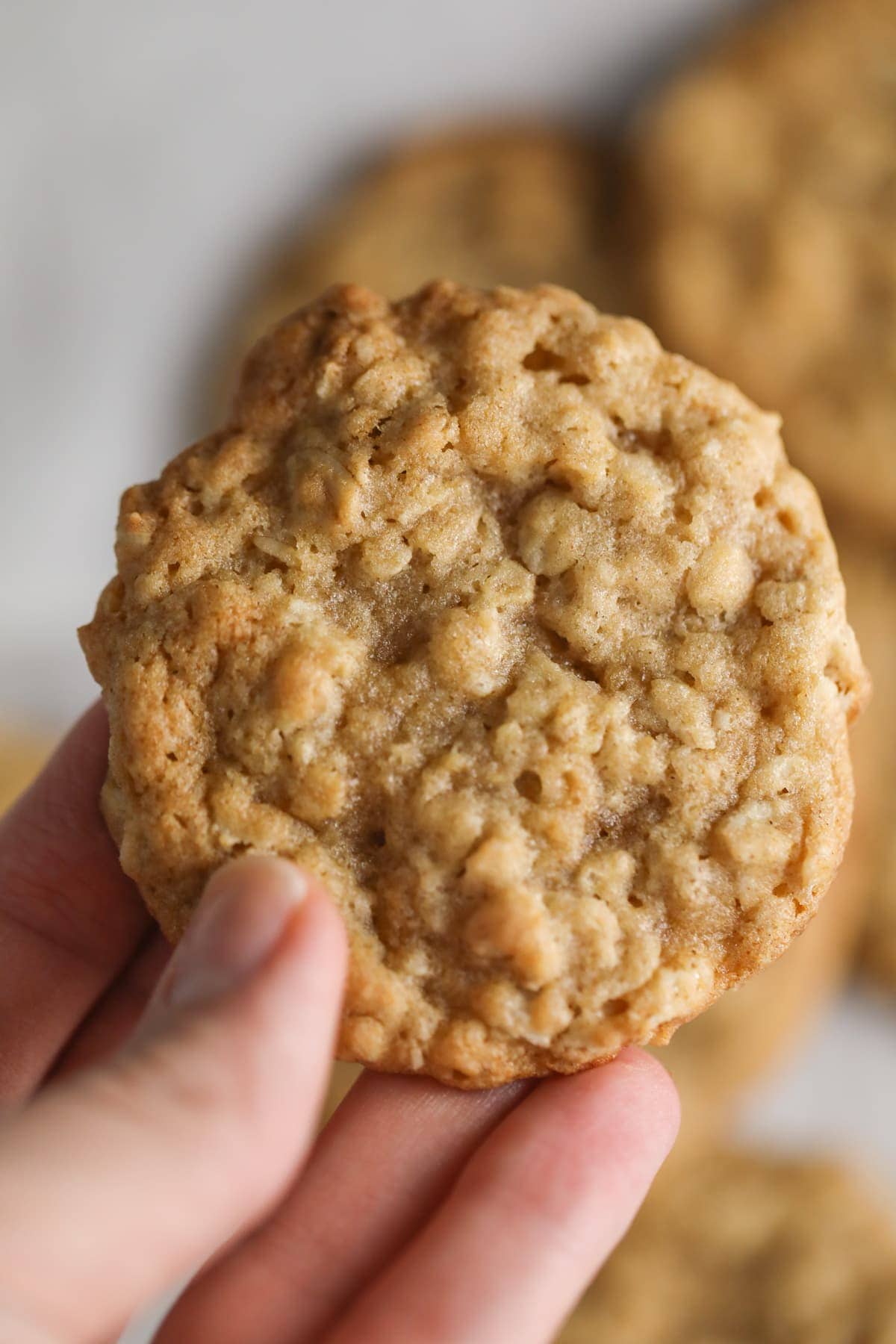 Classic Oatmeal Cookies soft & chewy - Lauren's Latest