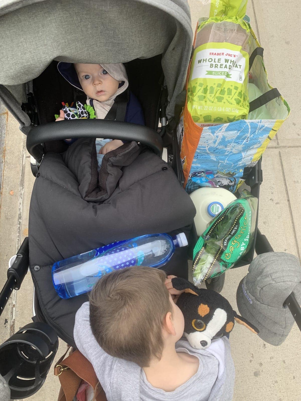 Pushing Porter and Eddie in a stroller