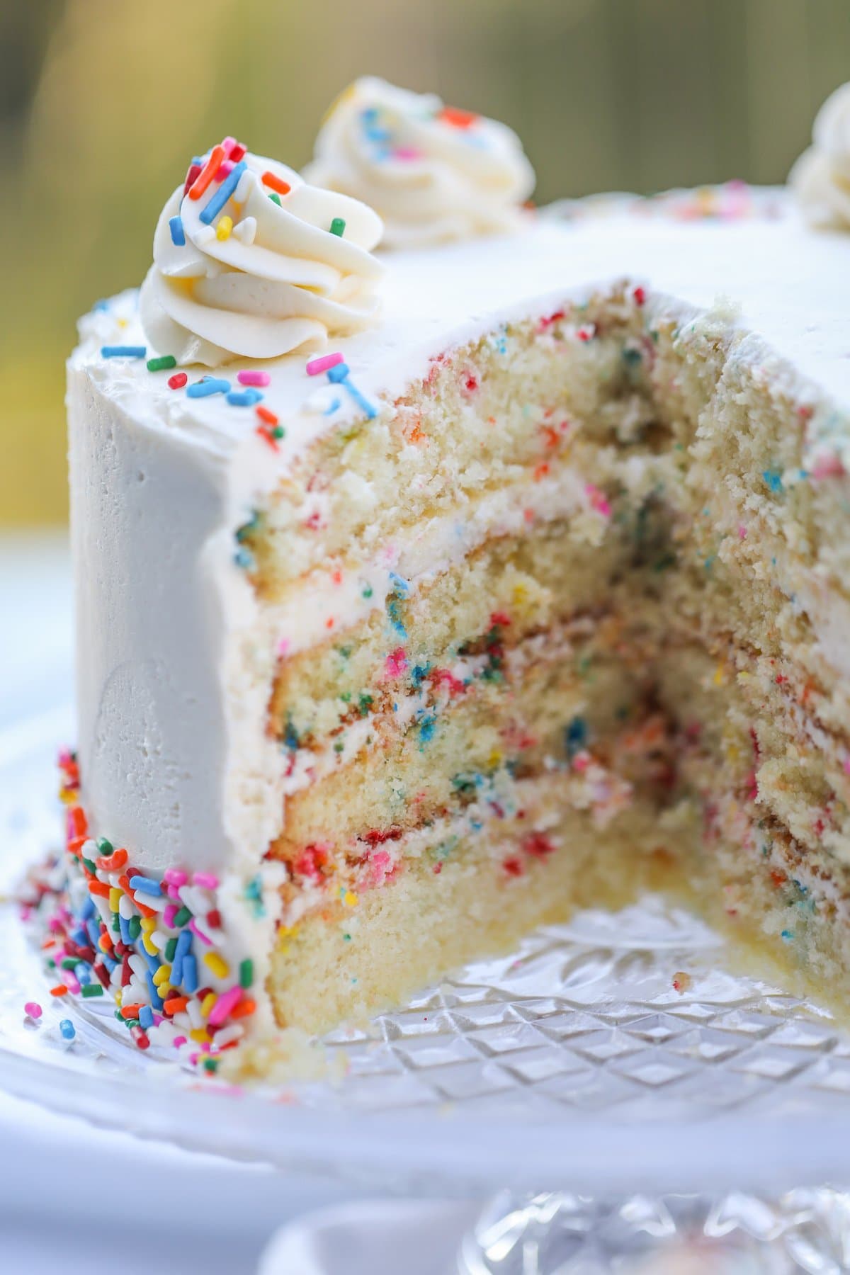frosted funfetti cake with slices taken out
