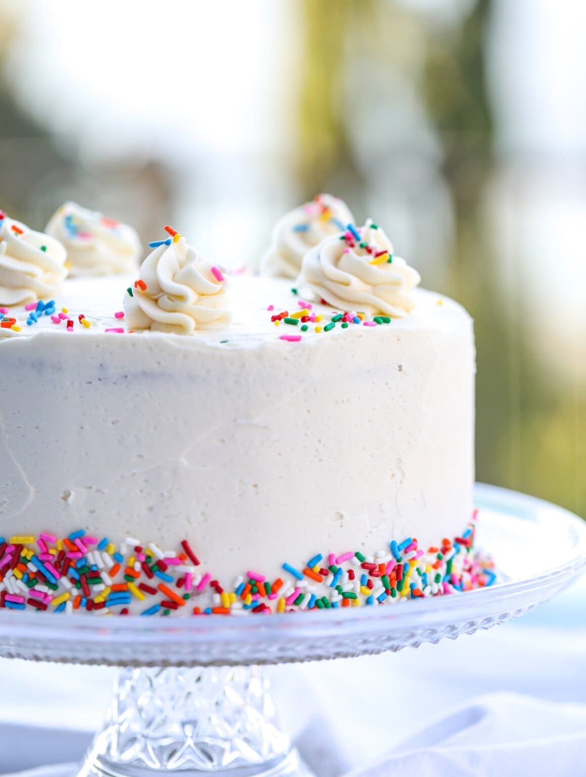 Funfetti Cake Recipe - Lauren's Latest