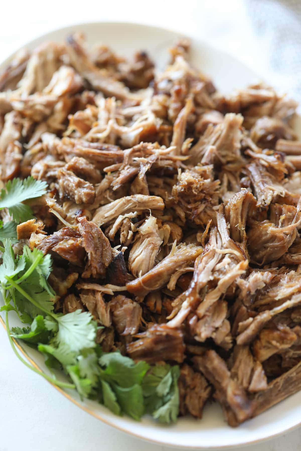 shredded carnitas on platter with cilantro