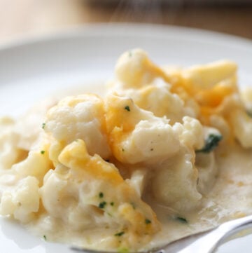 cauliflower au gratin on white plate