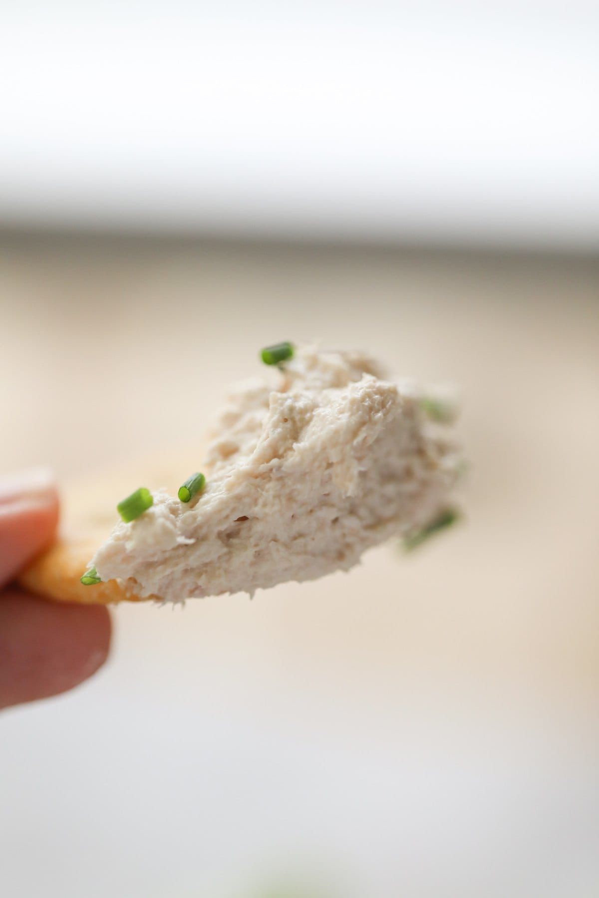 hand holding cracker with salmon dip