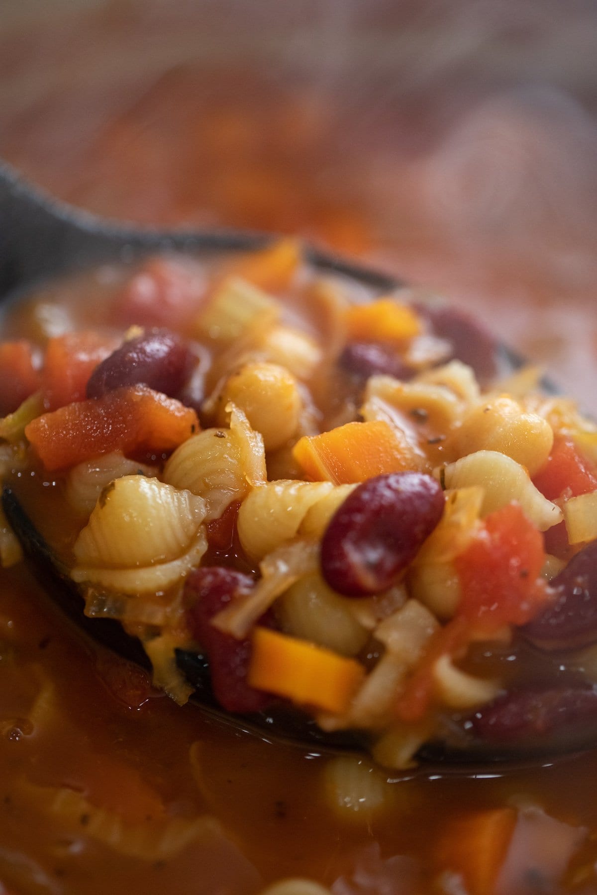 close up of minestrone soup