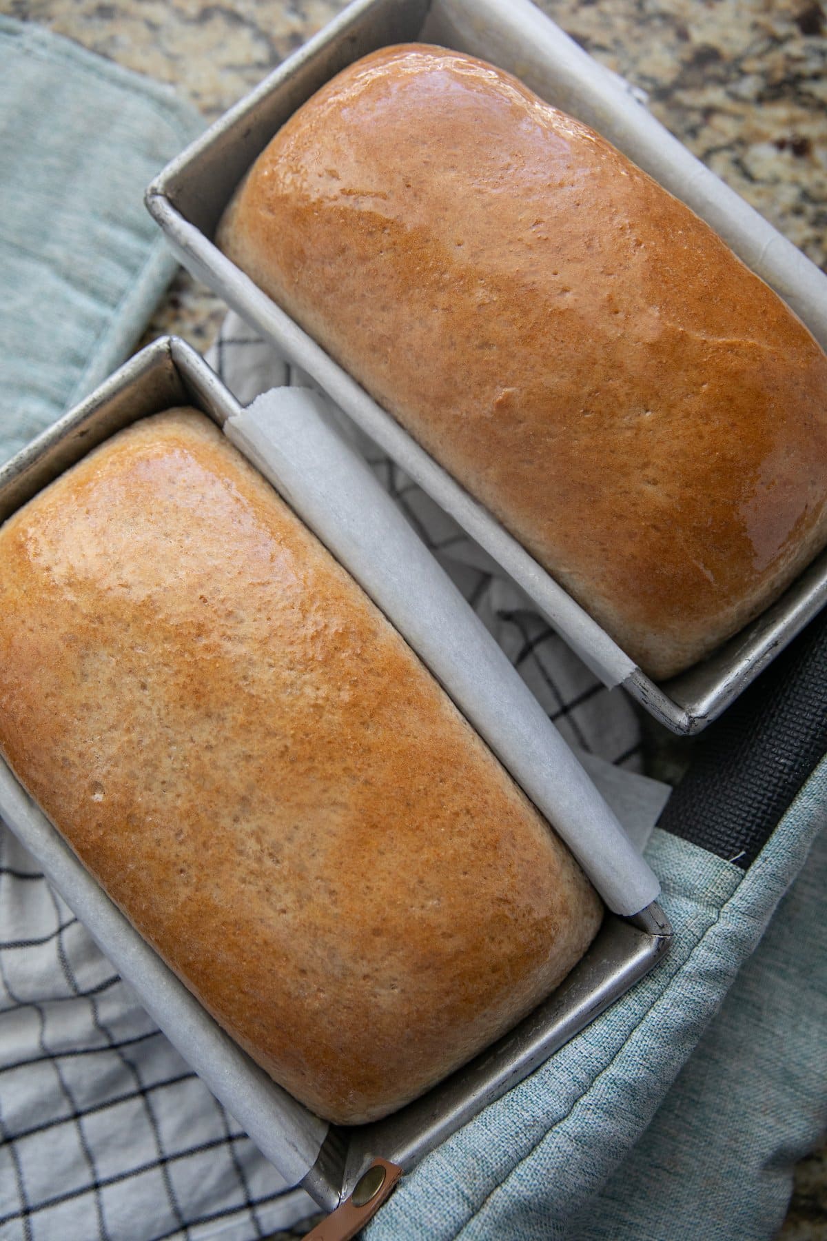 two baked loaves of whole wheat bread in loaf pans