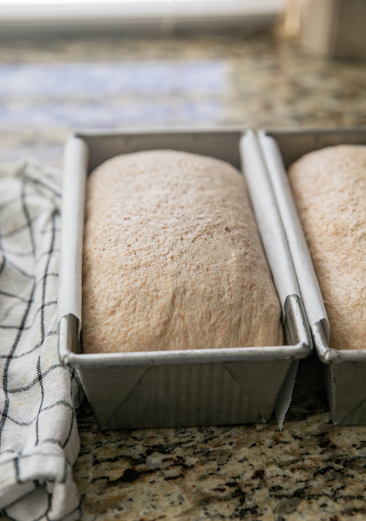 two pans of risen whole wheat dough side by side