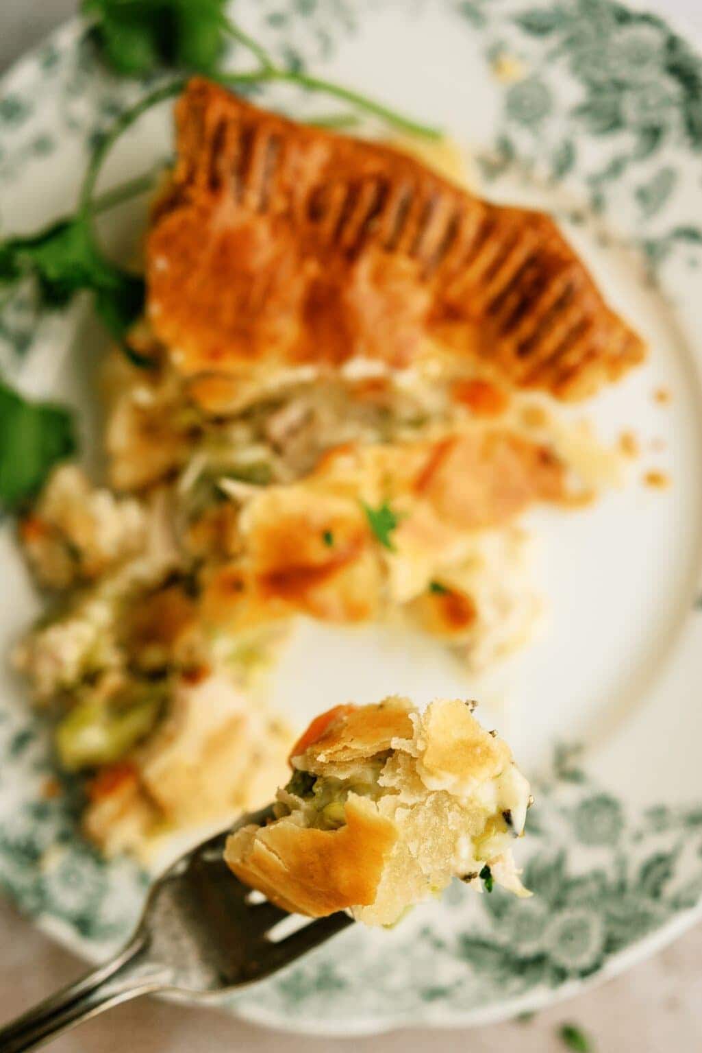 Double Crust Chicken Pot Pie Recipe - Lauren's Latest