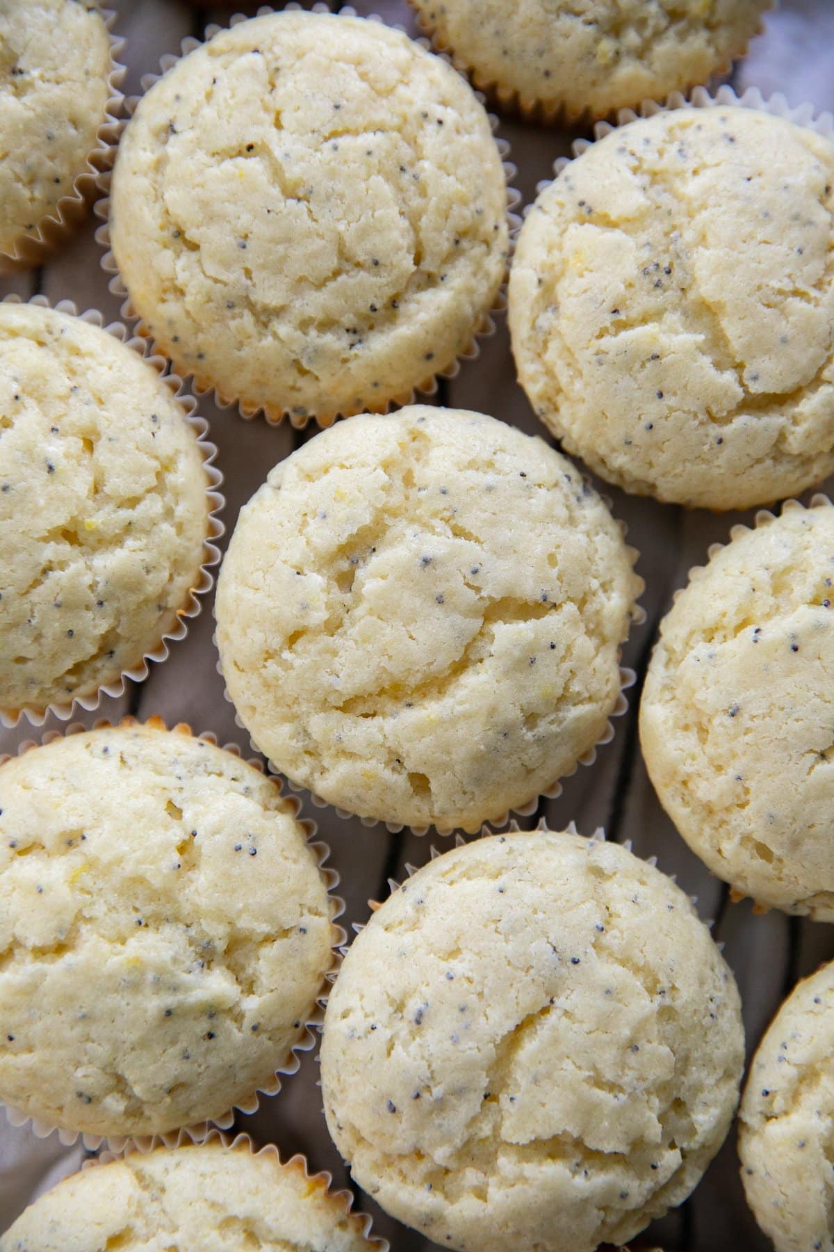 lemon poppyseed muffins
