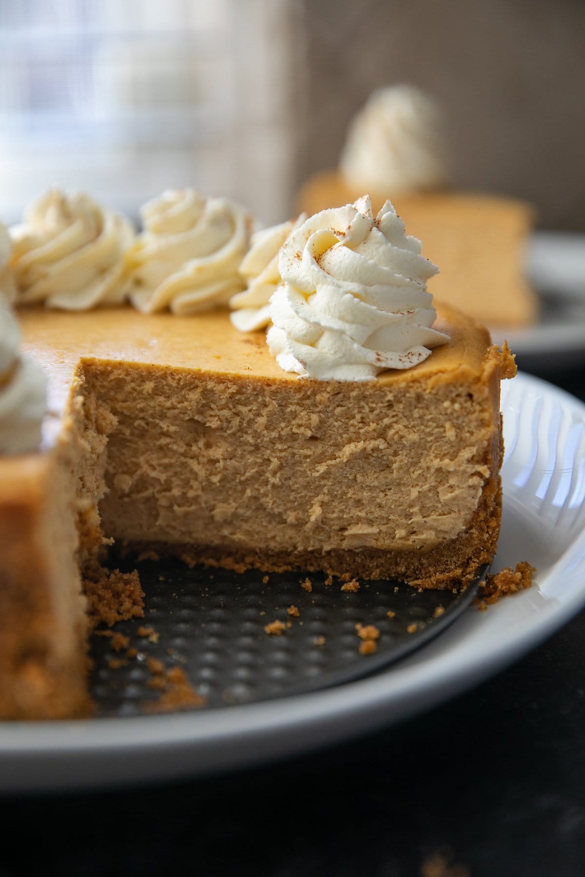 pumpkin cheesecake with a slice missing