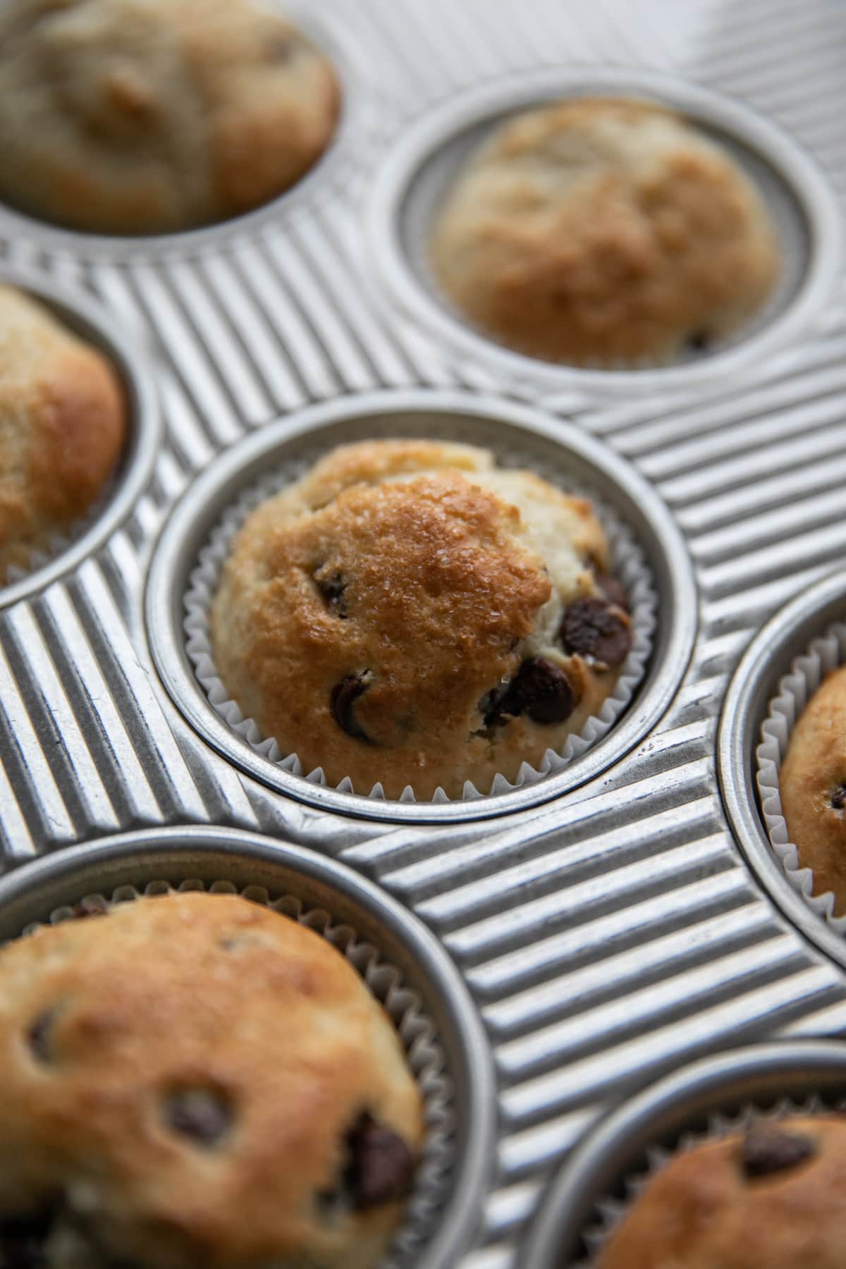 baked chocolate chip muffins in tin