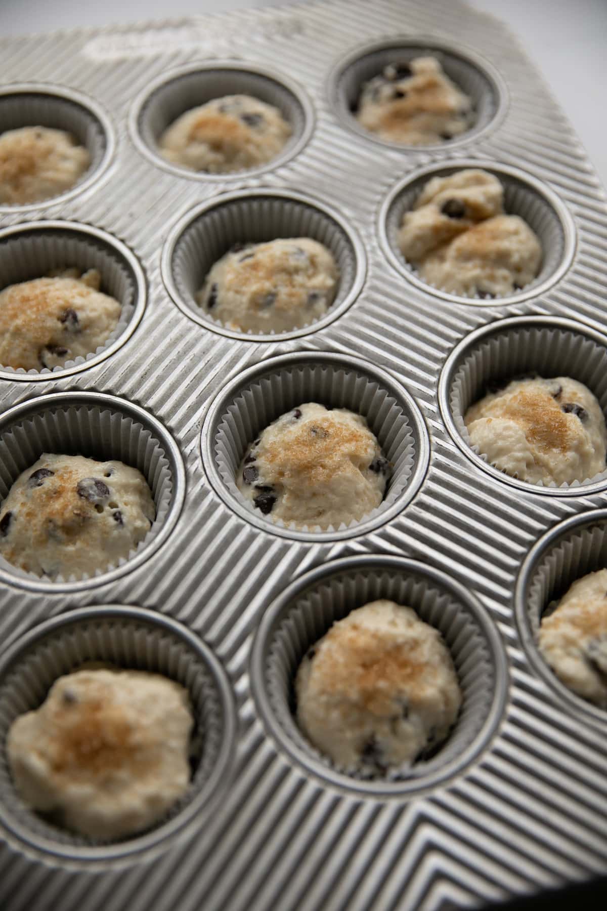 chocolate chip muffin batter in tins
