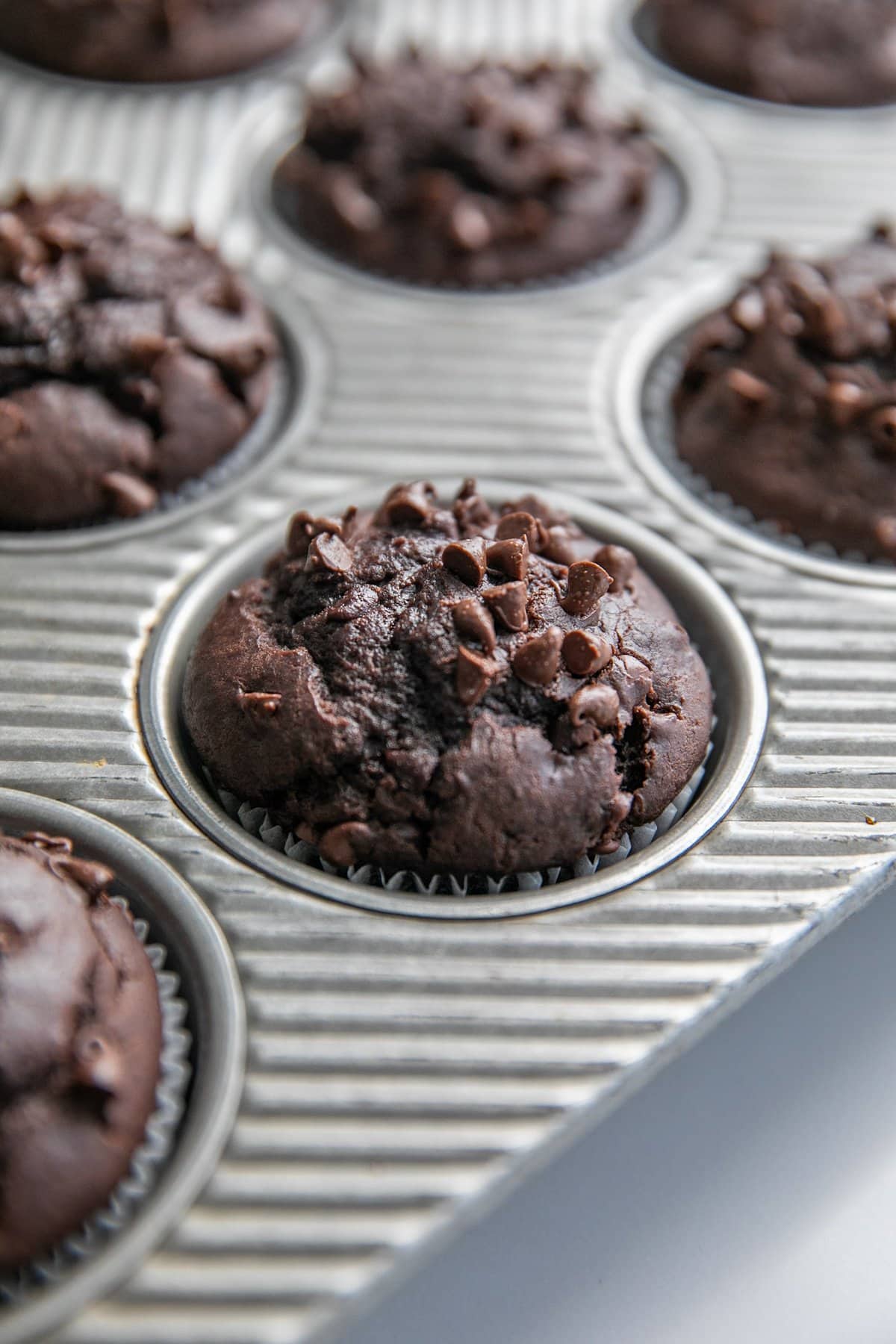 double chocolate muffins in muffin tin