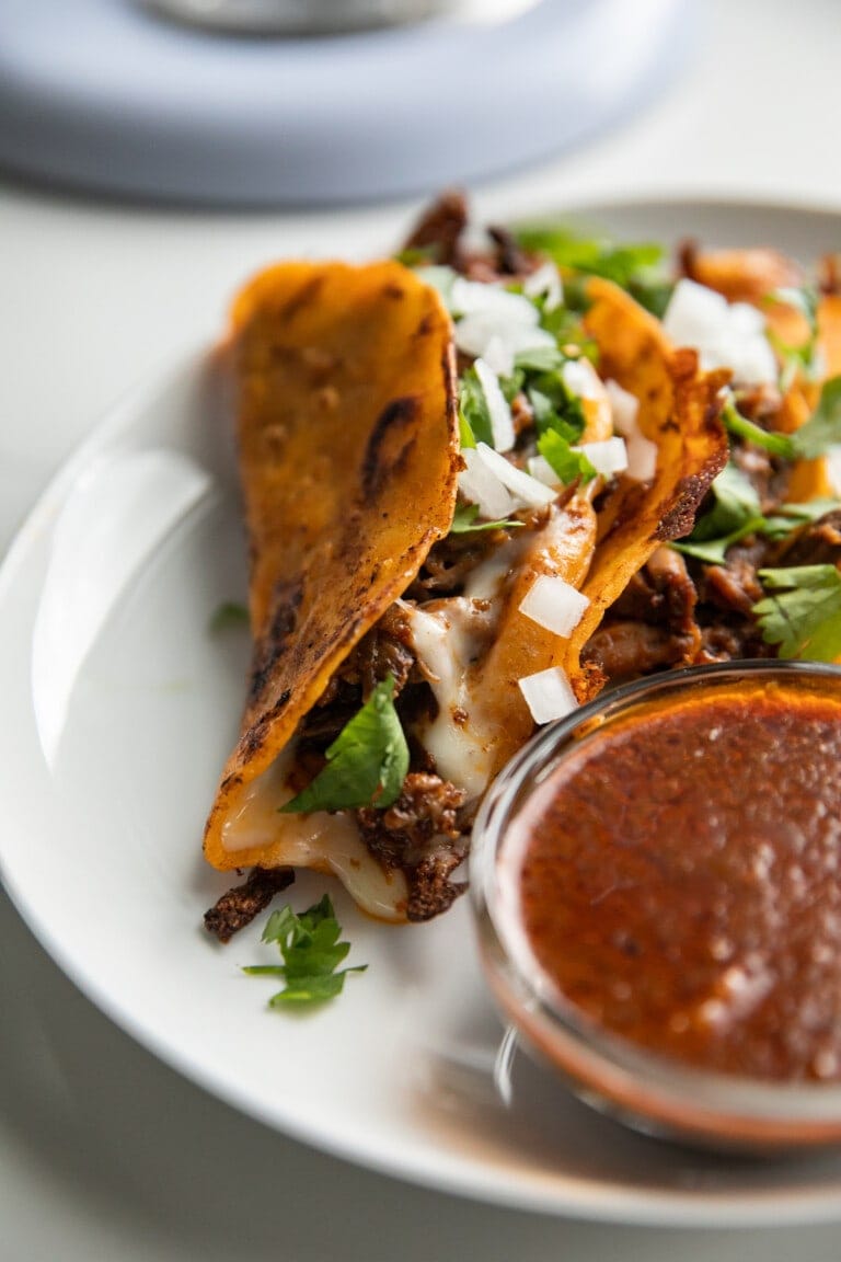 Birria Tacos (with Step by Step Video) - Lauren's Latest