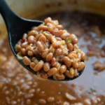 spoon of homemade baked beans