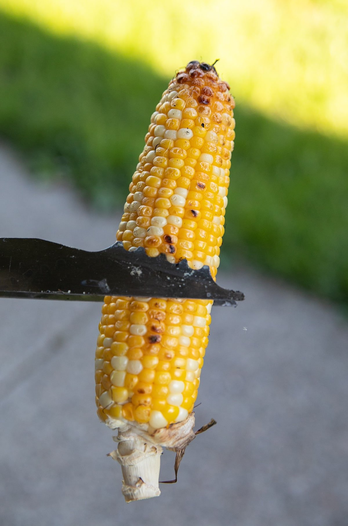 grilled ear of corn