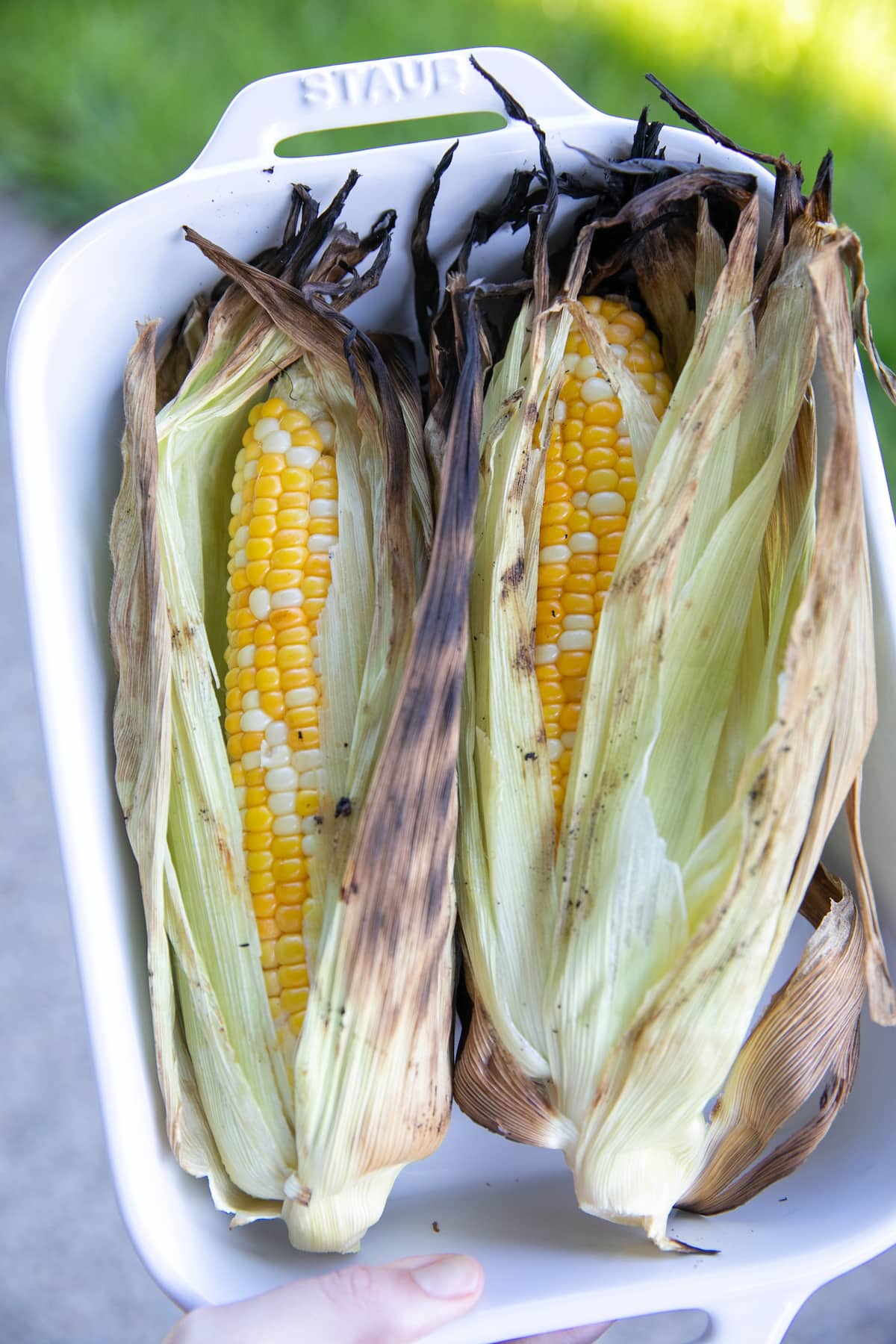 grilled corn in husks